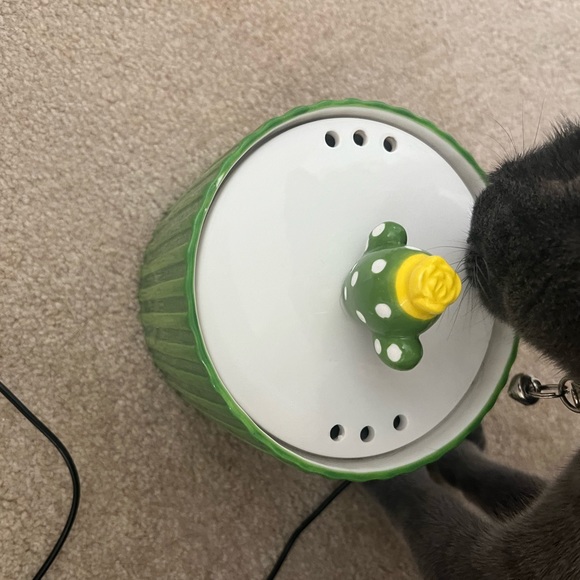 Happy and Polly Cactus Water Fountain - Picture 3 of 5